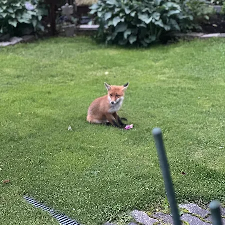 Branderhof Йохберг