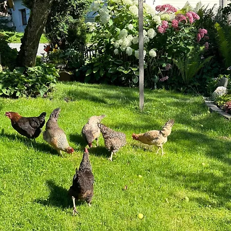 Фермерский дом Branderhof *