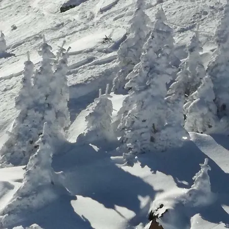 Фермерский дом Branderhof Йохберг