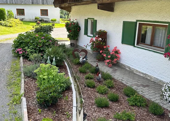 Branderhof Séjour à la ferme