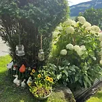 Agroturismo Branderhof Jochberg