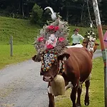 Branderhof Agroturismo *