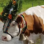 Agroturismo Branderhof