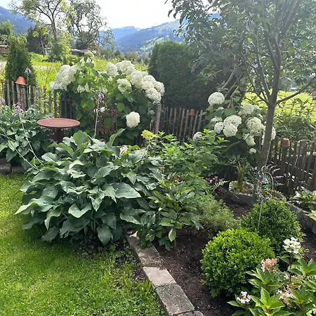 Branderhof Agroturismo Jochberg