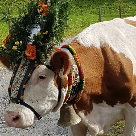 Çiftlik konaklama Branderhof