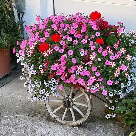 Branderhof * Γιόχμπεργκ