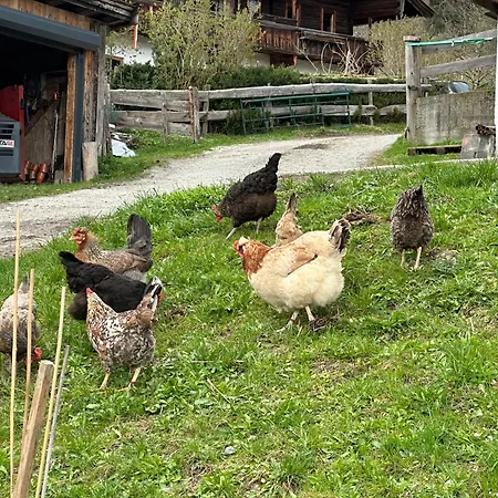 Κατάλυμα σε φάρμα Branderhof Γιόχμπεργκ