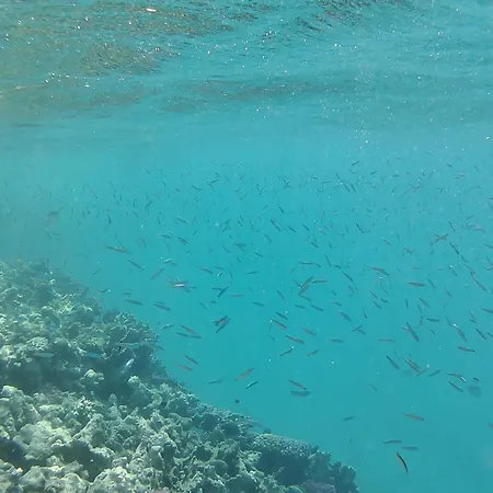 Κατάλυμα σε φάρμα Branderhof *