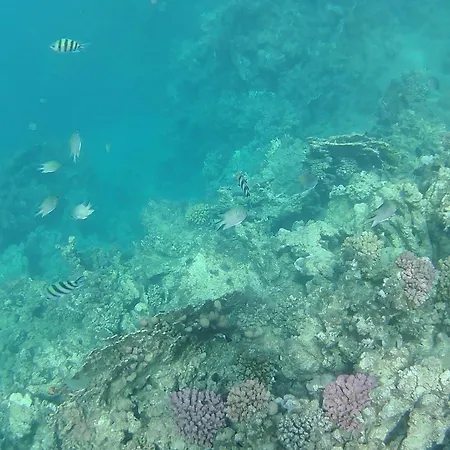 Branderhof Γιόχμπεργκ