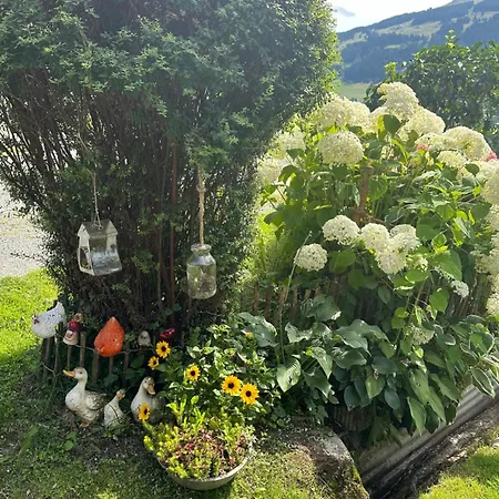 Κατάλυμα σε φάρμα Branderhof Γιόχμπεργκ