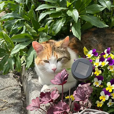 Branderhof Κατάλυμα σε φάρμα Γιόχμπεργκ