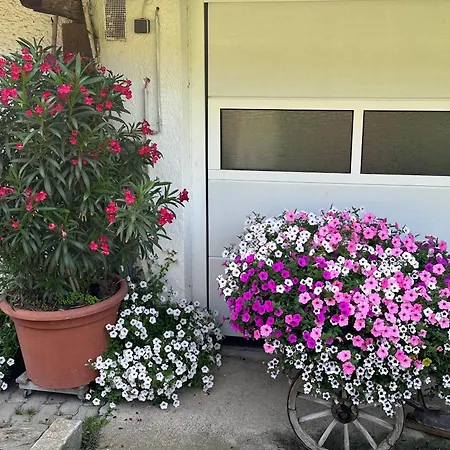 Branderhof Κατάλυμα σε φάρμα