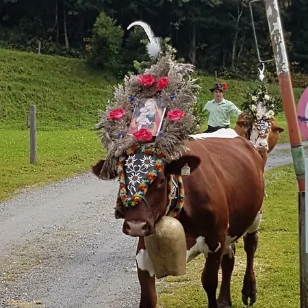 Branderhof Séjour à la ferme *