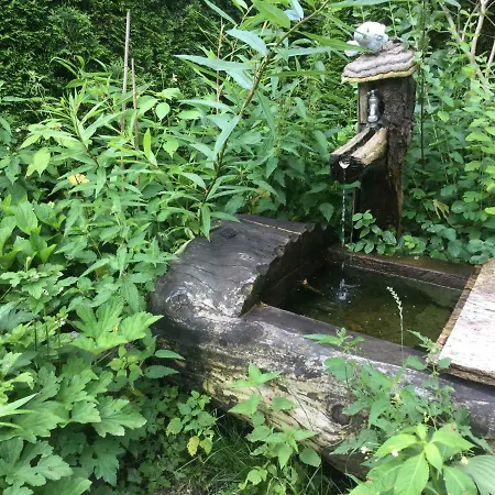 Κατάλυμα σε φάρμα Branderhof Γιόχμπεργκ