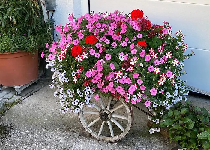 Branderhof * Jochberg