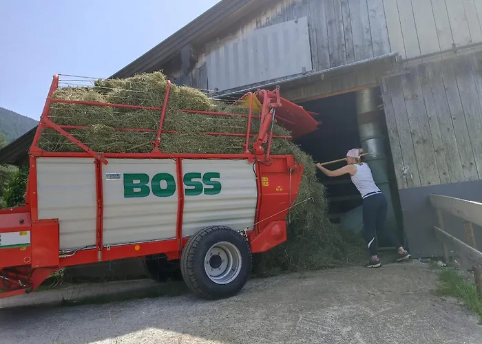 Branderhof Bauernhof *