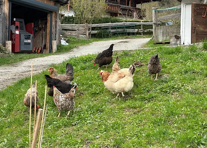 Bauernhof Branderhof Jochberg