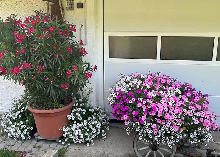 Branderhof Bauernhof