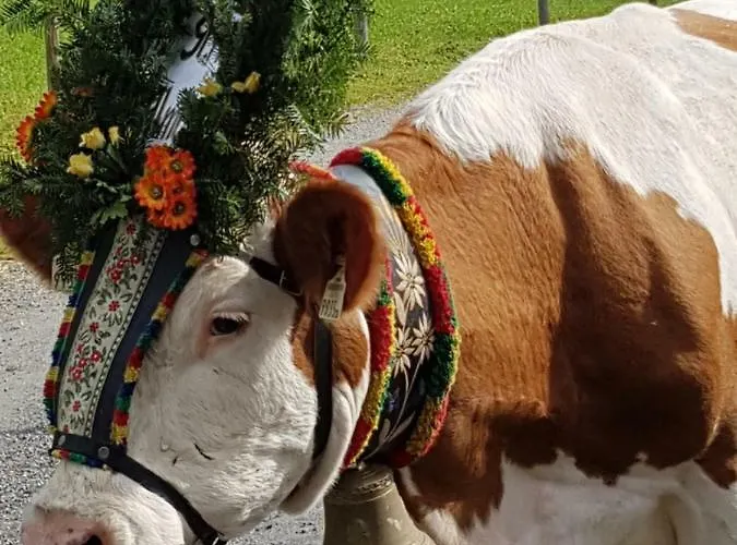 Bauernhof Branderhof