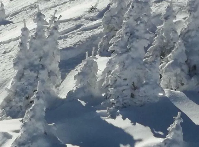 Bauernhof Branderhof Jochberg